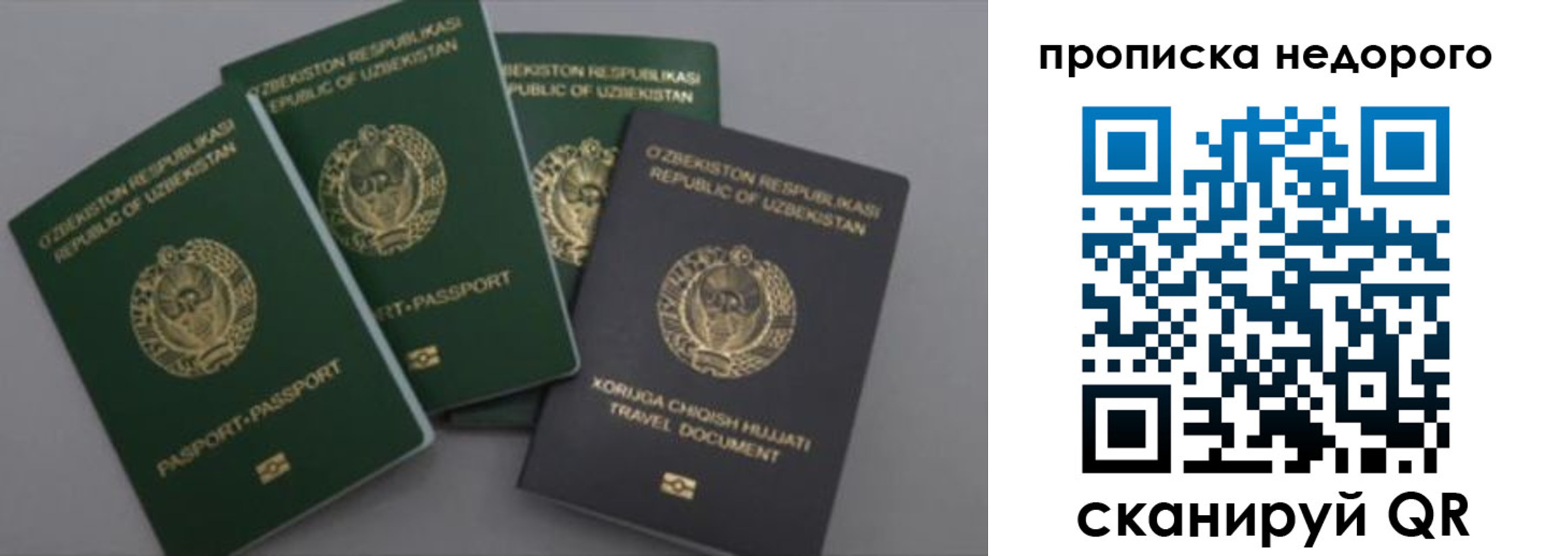 регистрация для школы в Ставрополе